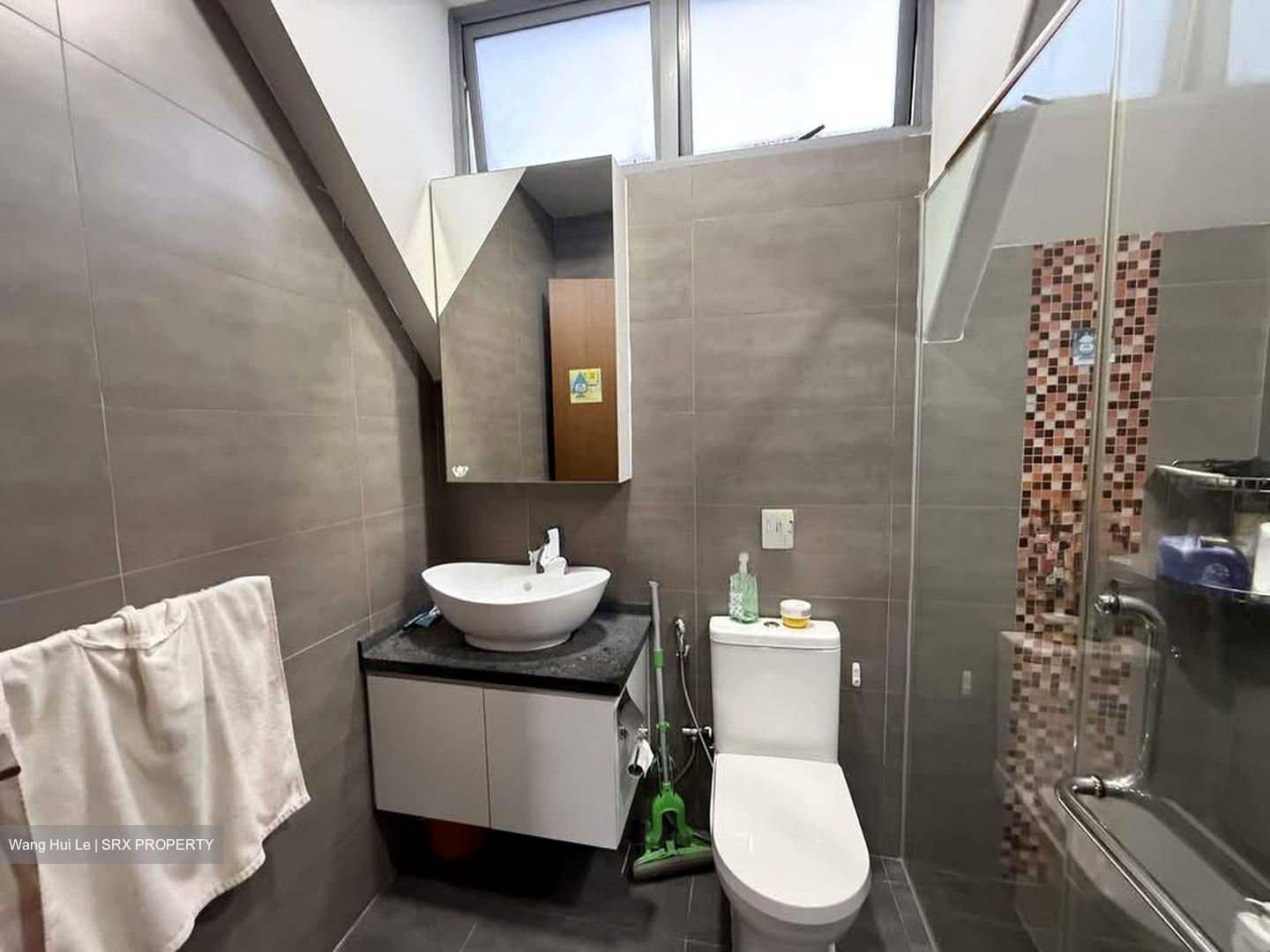 D'Zire (D19), Apartment #559408541